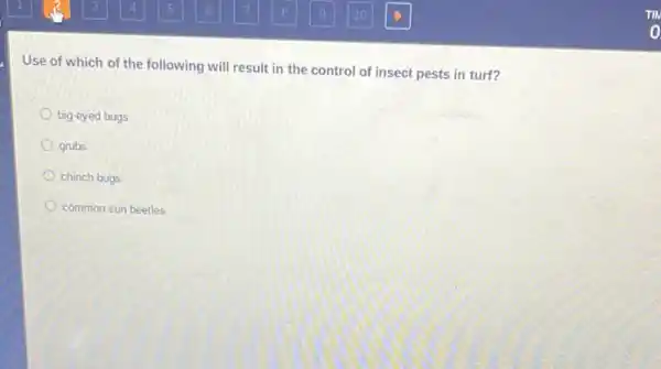 Use of which of the following will result in the control of insect pests in turt?
big-eyed bugs
grubs
chinch bugs
common sun beetles