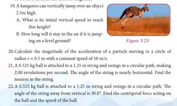 19. A kangaroo can vertically jump over an object
2.5m high.
A. What is its initial vertical speed to reach
this height?
B. How long will it stay in the air if it is jump-
ing on a level ground?
20.Calculate the magnitude of the acceleration of a particle moving in a circle of
radius r=0.5 m with a constant speed of 10m/s
21. A 0.525 kg ball is attached to a 1.25 m string and swings in a circular path making
2.00 revolutions per second. The angle of the string is nearly horizontal. Find the
tension in the string.
22. A 0.525 kg ball is attached to a 1.25 m string and swings in a circular path . The
angle of the string away from vertical is 30.0^circ  Find the centripetal force acting on
the ball and the speed of the ball.