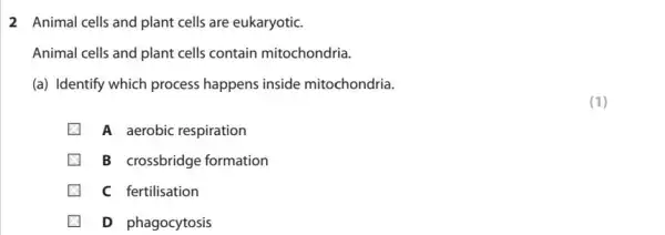 2 Animal cells and plant cells are eukaryotic.
Animal cells and plant cells contain mitochondria.
(a) Identify which process happens inside mitochondria.
(1)
A aerobic respiration
B crossbridge formation
C fertilisation
D phagocytosis