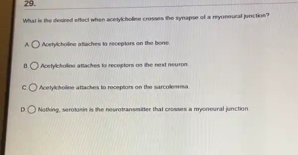 29.
What is the desired effect when acetylcholine crosses the synapse of a myoneural junction?
Acetylcholine attaches to receptors on the bone.
B. Acetylcholine attaches to receptors on the next neuron
Acetylcholine attaches to receptors on the sarcolemma.
D. Nothing, serotonin is the neurotransmitter that crosses a myoneural junction.