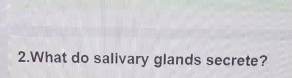 2.What do salivary glands secrete?