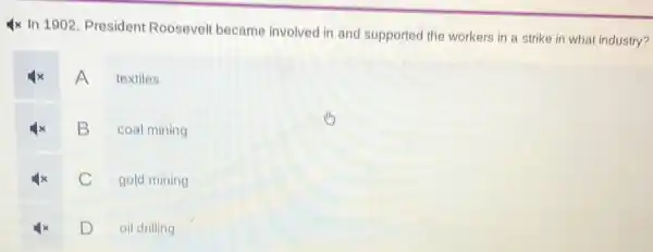 4x In 1902, President Roosevelt became involved in and supported the workers in a strike in what industry?
A
textiles
B
coal mining
C
gold mining
D
oil drilling