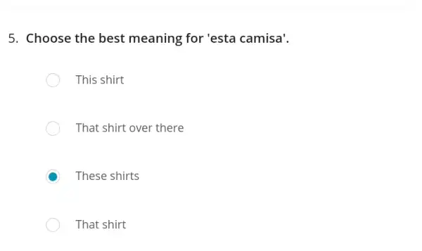 5. Choose the best meaning for 'esta camisa'.
This shirt
That shirt over there
C These shirts
That shirt