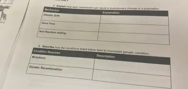 5. Explain how each mechanism can result in evolutionary change in a population.

 Mechanism & Explanation 
 Genetic Drift & 
 Gene Flow & 
 Non Random mating & 


6. Describe how the conditions listed below lead to increased genetic variation.

 Condition Required & Description 
 Mutations & 
 Genetic Recombination &