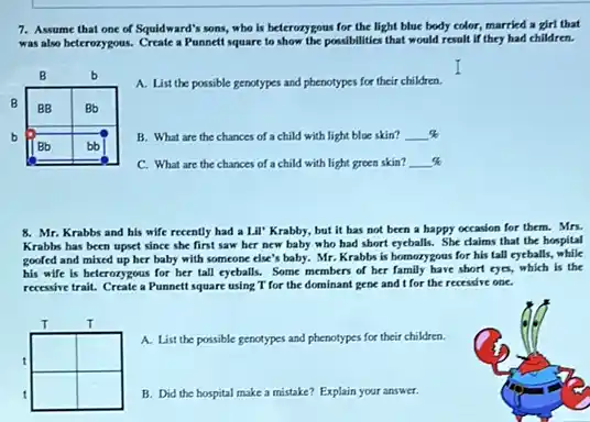 7. Assume that one of Squidward's sons, who is heterozygous for the light blue body color, married a girl that was also heterozygous. Create a Punnett square to show the possibilities that would result if they had children.
A. List the possible genotypes and phenotypes for their children.
B
B
B
b
B
B
B
B
B
B
B
B
B
B
B
B
B
B
B
B
B
B
B
B
B
B
B
B
B
B
B
B
B
B
B
B
B
B
B
B
B
B
B
B
B
B
B
B
B
B
B
B
B
B
B
B
B
B
B
B
B
B
B
B
B
B
B
B
B
B
B
B
B
B
B
B
B
B
B
B
B
B
B
B
B
B
B
B
B
B
B
B
B
B
B
B
B
B
B
B
B
B
B
B
B
B
B
B
B
B
B
B
B
B
B
B
B
B
B
B
B
B
B
B
B
B
B
B
B
B
B
B
B
B
B
B
B
B
B
B
B
B
B
B
B
B
B
B
B
B
B
B
B
B
B
B
B
B
B
B
B
B
B
B
B
B
B
B
B
B
B
B
B
B
B
B
B
B
B
B
B
B
B
B
B
B
B
B
B
B
B
B
B
B
B
B
B
B
B
B
B
B
B
B
B
B
B
B
B
B
B
B
B
B
B
B
B
B
B
B
B
B
B
B
B
B
B
B
B
B
B
B
B
B
B
B
B
B
B
B
B
B
B
B
B
B
B
B
B
B
B
B
B
B
B
B
B
B
B
B
B
B
B
B
B
B
B
B
B
B
B
B
B
B
B
B
B
B
B
B
B
B
B
B
B
B
B
B
B
B
B
B
B
B
B
B
B
B
B
B
B
B
B
B
B
B
B
B
B
B
B
B
B
B
B
B
B
B
B
B
B
B
B
B
B
B
B
B
B
B
B
B
B
B
B
B
B
B
B
B
B
B
B
B
B
B
B
B
B
B
B
B
B
B
B
B
B
B
B
B
B
B
B
B
B
B
B
B
B
B
B
B
B
B
B
B
B
B
B
B
B
B
B
B
B
B
B
B
B
B
B
B
B
B
B
B
B
B
B
B
B
B
B
B
B
B
B
B
B
B
B
B
B
B
B
B
B
B
B
B
B
B
B
B
B
B
B
B
B
B
B
B
B
B
B
B
B
B
B
B
B
B
B
B

 mathrm(C) 
 mathrm(C) 
 mathrm(C) 
 mathrm(C) 
 mathrm(C) 
 mathrm(C) 
 mathrm(C) 
 mathrm(C) 
 mathrm(C) 
 mathrm(C) 
 mathrm(C) 
 mathrm(C) 
 mathrm(C) 
 mathrm(C) 
 mathrm(C) 
 mathrm(C) 
 mathrm(C) 
 mathrm(C) 
 mathrm(C) 
 mathrm(C) 
 mathrm(C) 
 mathrm(C) 
 mathrm(C) 
 mathrm(C) 
 mathrm(C) 
 mathrm(C) 
 mathrm(C) 
 mathrm(C) 
 mathrm(C) 
 mathrm(C) 
 mathrm(C) 
 mathrm(C) 
 mathrm(C)