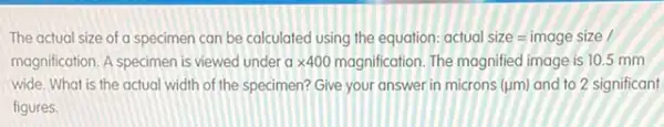 The actual size of a specimen can be calculated using the equation: actual size=image size/
magnification. A specimen is viewed under a times 400 magnification. The magnified image is 10.5 mm
wide. What is the actual width of the specimen? Give your answer in microns (jum) and to 2 significant
figures.