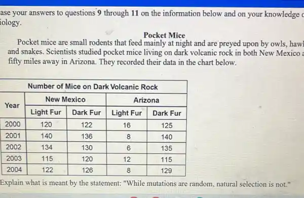 ase your answers to questions 9 through 11 on the information below and on your knowledg ology.
Pocket Mice
Pocket mice are small rodents that feed mainly at night and are preyed upon by owls, ha and snakes. Scientists studied pocket mice living on dark volcanic rock in both New Mexic fifty miles away in Arizona. They recorded their data in the chart below.

 multicolumn(6)(|c|)( Number of Mice on Dark Volcanic Rock ) 
 multirow(2)(}{ Year ) & multicolumn(2)(|c|)( New Mexico ) & multicolumn(2)(c|)( Arizona ) 
cline ( 2 - 5 ) & Light Fur & Dark Fur & Light Fur & Dark Fur 
 2000 & 120 & 122 & 16 & 125 
 2001 & 140 & 136 & 8 & 140 
 2002 & 134 & 130 & 6 & 135 
 2003 & 115 & 120 & 12 & 115 
 2004 & 122 & 126 & 8 & 129 


Explain what is meant by the statement: "While mutations are random, natural selection is not."