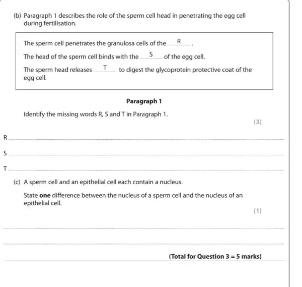 (b) Paragraph 1 describes the role of the sperm cell head in penetrating the egg cell
during fertilisation.
The sperm cell penetrates the granulosa cells of the __
The head of the sperm cell binds with the __ of the egg cell.
The sperm head releases __ to digest the glycoprotein protective coat of the
egg cell.
Paragraph 1
Identify the missing words R, S and T in Paragraph 1.
__
s
T
(c) A sperm cell and an epithelial cell each contain a nucleus.
State one difference between the nucleus of a sperm cell and the nucleus of an
epithelial cell.
(1)