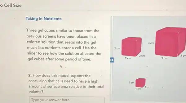 - Cell Size
Taking in Nutrients
Three gel cubes similar to those from the
previous screens have been placed in a
colored solution that seeps into the gel
much like nutrients enter a cell. Use the
slider to see how the solution affected the
gel cubes after some period of time.
2. How does this model support the
conclusion that cells need to have a high
amount of surface area relative to their total
volume?
Typeyouranswerhere disappointed