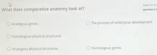 What does comparative anatomy look at?
Analogous genes
The process of embryonic development
Homologous physical structures
Analogous physical structures
Homologous genes