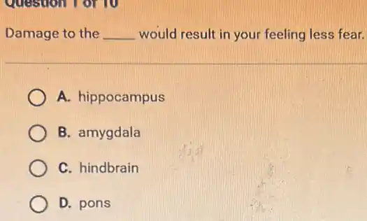 Damage to the __ would result in your feeling less fear.
A. hippocampus
B. amygdala
C. hindbrain
D. pons