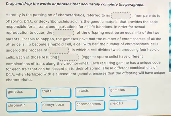 Drag and drop the words or phrases that accurately complete the paragraph.
Heredity is the passing on of characteristics, referred to as square  , from parents to
offspring. DNA, or deoxyribonucleic acid, is the genetic material that provides the code
responsible for all traits and instructions for all life functions. In order for sexual
reproduction to occur, the square  of the offspring must be an equal mix of the two
parents. For this to happen, the gametes have half the number of chromosomes of all the
other cells. To become a haploid cell, a cell with half the number of chromosomes, cells
undergo the process of square  in which a cell divides twice producing four haploid
cells. Each of those resulting ! square  (eggs or sperm cells)have different
combinations of traits along the chromosomes. Each resulting gamete has a unique code
for each trait that can be passed on to their offspring. These different combinations of
DNA, when fertilized with a subsequent gamete, ensures that the offspring will have unique
characteristics.
genetics
traits
mitosis
gametes
chromatin
deoxyribose
chromosomes
meiosis