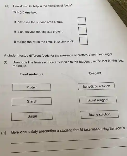 (e) How does bile help in the digestion of foods?
Tick (checkmark) one box.
It increases the surface area of fats.
It is an enzyme that digests protein.
It makes the mathrm(pH) in the small intestine acidic.
A student tested different foods for the presence of protein, starch and sugar.
(f) Draw one line from each food molecule to the reagent used to test for the food molecule.
Food molecule
Reagent
Protein
Benedict's solution
Starch
Biuret reagent
Sugar
Iodine solution
(g) Give one safety precaution a student should take when using Benedict's
 qquad 
 qquad