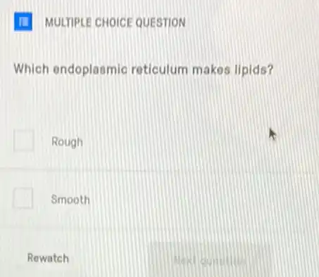 Which endoplasmic reticulum makes lipids?
Rough
Smooth
Rewatch