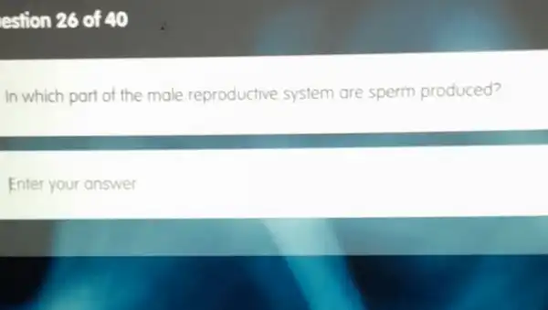 estion 26 of 40
In which part of the male reproductive system are sperm produced?
Enter your answer