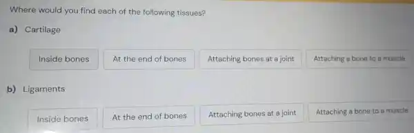 Where would you find each of the following tissues?
a) Cartilage
Inside bones
At the end of bones
Attaching bones at a joint
Attaching a bone to a muscle
b) Ligaments
Inside bones
At the end of bones
Attaching bones at a joint
Attaching a bone to a muscle