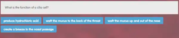 What is the function of a cilia cell?
produce hydrochloric acid
waft the mucus to the back of the throat
waft the mucus up and out of the nose
create a breeze in the nasal passage