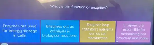 What is the function of enzymes?
Enzymes are used
for energy storage
in cells.
Enzymes act as
catalysts in
biological reactions.
Enzymes help
transport nutrients
across cell
membranes.
Enzymes are
responsible for
maintaining cell
structure and shape.