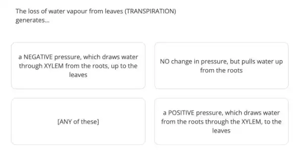 The loss of water vapour from leaves (TRANSPIRATION)
generates. __
a NEGATIVE pressure, which draws water
through XYLEM from the roots, up to the
leaves
NO change in pressure but pulls water up
from the roots
[ANY of these]
a POSITIVE pressure, which draws water
from the roots through the XYLEM, to the
leaves