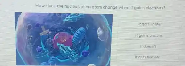 How does the nucleus of an atom change when it gains electrons?
It gets lighter
It gains protons
It doesn't
It gets heavier