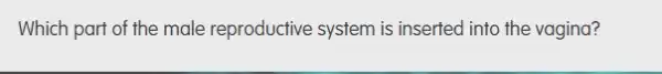 Which part of the male reproductive system is inserted into the vagina?