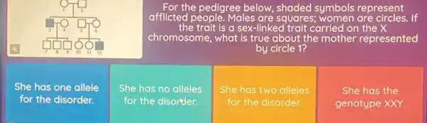 For the pedigree below , shaded symbols represent
afflicted people. Males are squares; women are circles. If
the trait is a sex-linkec I trait carried on the X
chromosome, what is true about the mother represented
by circle 1?
She has one allele
for the disorder.
She has no alleles
for the disorder.
She has two alleles
for the disorder.
She has the
genotype XXY.