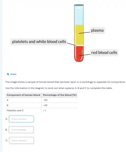 platelets and white blood cells
The image shows a sample of human blood that has been spun in a centrifuge to separate its components.
Use the information in the diagram to work out what replaces A, B and C to complete this table.
Component of human blood
Percentage of the blood (%)

 A & -55 
 B & -45 
 Platelets and C & <1 


A: Enter answer...
B: Enter answer...
C: Enter answer...