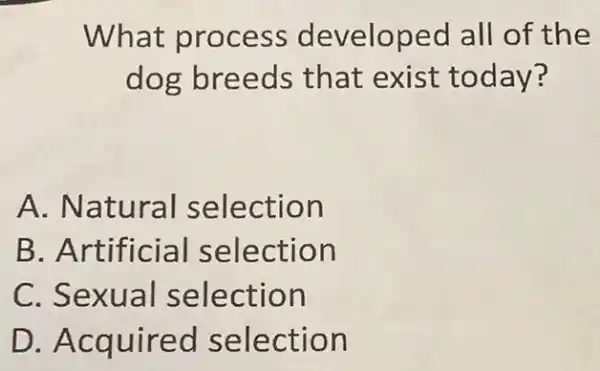 What process developed all of the
dog breeds that exist today?
A. Natural selection
B. Artificial selection
C. Sexual selection
D. Acquired selection