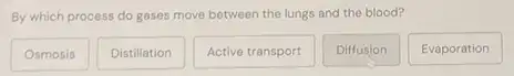 By which process do gases move between the lungs and the blood?
Osmosis
Distillation
Active transport
Diffusion
Evaporation