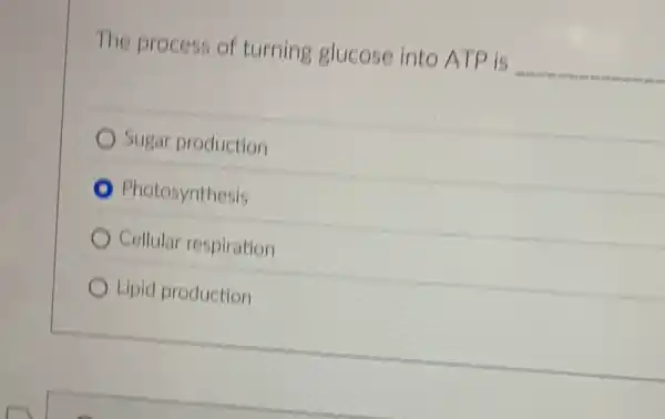 The process of turning glucose into ATP is __
Sugar production
Photosynthesis
Cellular respiration
Lipid production