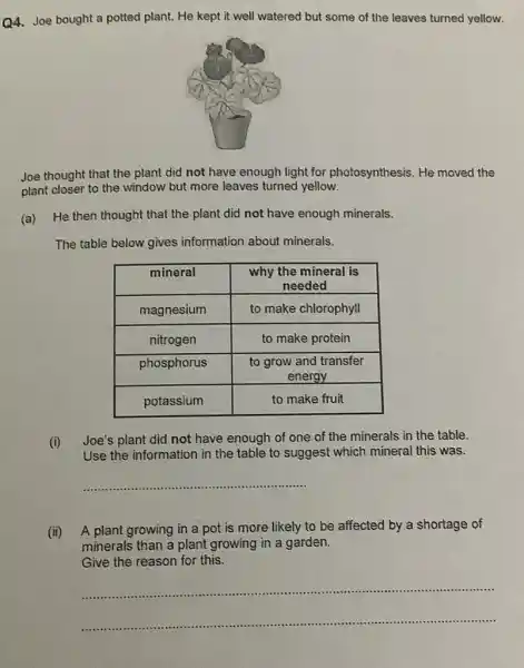 Q4. Joe bought a potted plant. He kept it well watered but some of the leaves turned yellow.
Joe thought that the plant did not have enough light for photosynthesis. He moved the plant closer to the window but more leaves turned yellow.
(a) He then thought that the plant did not have enough minerals.
The table below gives information about minerals.

 mineral & }(c)
why the mineral is 
needed
 
 magnesium & to make chlorophyll 
 nitrogen & to make protein 
 phosphorus & 
to grow and transfer 
energy
 
 potassium & to make fruit 


(i) Joe's plant did not have enough of one of the minerals in the table. Use the information in the table to suggest which mineral this was.
(ii) A plant growing in a pot is more likely to be affected by a shortage of minerals than a plant growing in a garden. Give the reason for this.