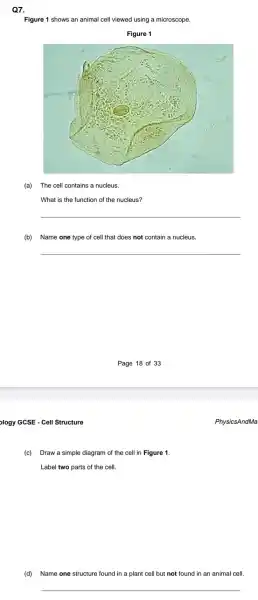 Q7.
Figure 1 shows an animal cell viewed using a microscope
(a) The cell contains a nucleus.
What is the function of the nucleus?
__
(b) Name one type of cell that does not contain a nucleus.
__
ology GCSE - Cell Structure
(c) Draw a simple diagram of the cell in Figure 1
Label two parts of the cell.
(d) Name one structure found in a plant cell but not found in an animal cell.
__
PhysicsAndMa