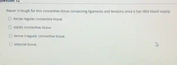 Repair is tough for this connective tissue composing ligaments and tendons since it has little blood supply.
dense regular connective tissue
elastic connective tissue
dense irregular connective tissue
adipose tissue