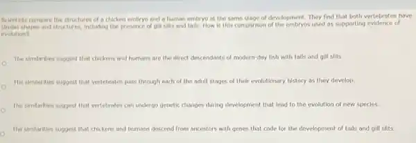 Scientists compare the structures of a chicken embryo and a human embryo at the same stage of development. They find that both vertebrates have
shapes and structures, including the presence of gill slits and talls. How is this comparison of the embryos used as supporting evidence of
evolution?
The similarities suggest that chickens and humans are the direct descendants of modern-day fish with talls and gill slits.
The similarities suggest that vertebrates pass through each of the adult stages of their evolutionary history as they develop
The similarities suggest that vertebrates can undergo genetic changes during development that lead to the evolution of new species.
The similarities suggest that chickens and humans descend from ancestors with genes that code for the development of talls and gill slits.