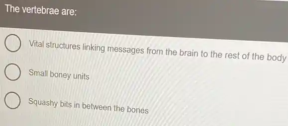 The vertebrae are:
Vital structures linking messages from the brain to the rest of the body
Small boney units
Squashy bits in between the bones