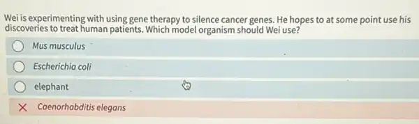 Wei is experimenting with using gene therapy to silence cancer genes. He hopes to at some point use his
discoveries to treat human patients. Which model organism should Wei use?
Mus musculus
Escherichia coli
elephant
X Caenorhabditis elegans