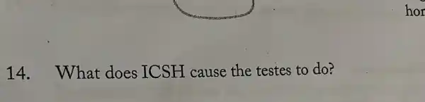 14. What does ICSH cause the testes to do?
hor