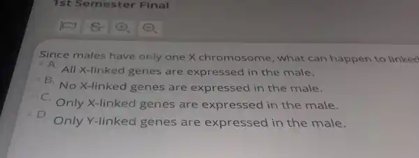 1st Semes ter Final
Since males have only one X chromosome , what can happen to linked
A. All X-linked genes are expressed in the male.
- B. No X-linked genes are expressed in the male.
- C. Only X -linked genes are expressed in the male.
D. Only Y -linked genes are expressed in the male.