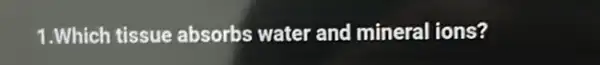 1.Which tissue absorbs water and mineral ions?