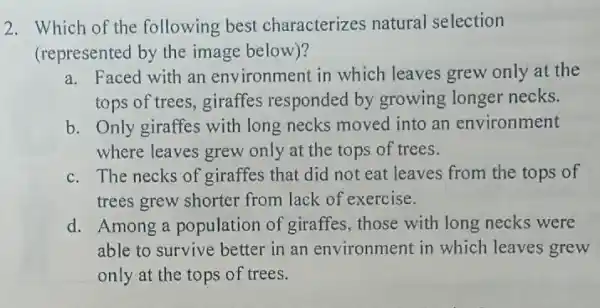 2. Which of the following best characterizes natural selection
(represented by the image below)?
a. Faced with an env ironment in which leaves grew only at the
tops of trees, giraffes responded by growing longer necks.
b. Only giraffes with long necks moved into an environment
where leaves grew only at the tops of trees.
c. The necks of giraffes that did not eat leaves from the tops of
trees grew shorter from lack of exercise.
d. Among a population of giraffes those with long necks were
able to survive better in an environment in which leaves grew
only at the tops of trees.