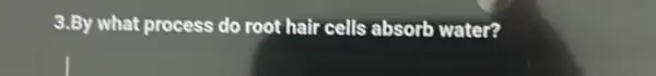 3.By what process do root hair cells absorb water?