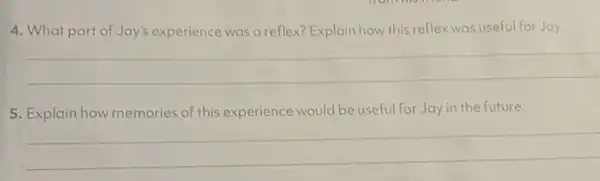 4. What part of Jay's experience was a reflex? Explain how this reflex was useful for Jay.
5. Explain how memories of this experience would be useful for Jay in the future.
__