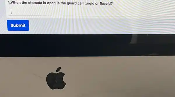 4.When the stomata is open is the guard cell turgid or flaccid?