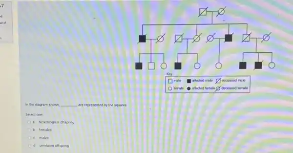 7
square 
square 
square 
square 
square 
square 
square  deceased male
square  deceased temale
In the diagram shown __ are represented by the squares
Select one:
a. heterozygous offspring
b. females
c. males
d. unrelated offspring