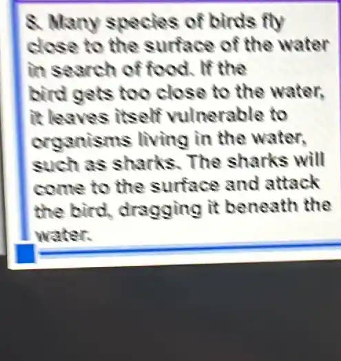 8. Many species of birds fly
close to the surface of the water
in search of food. If the
bird gets too close to the water.
it leaves itself vulnerable to
organisms living in the water.
such as sharks The sharks will
come to the surface and attack
the bird dragging it beneath the
water.