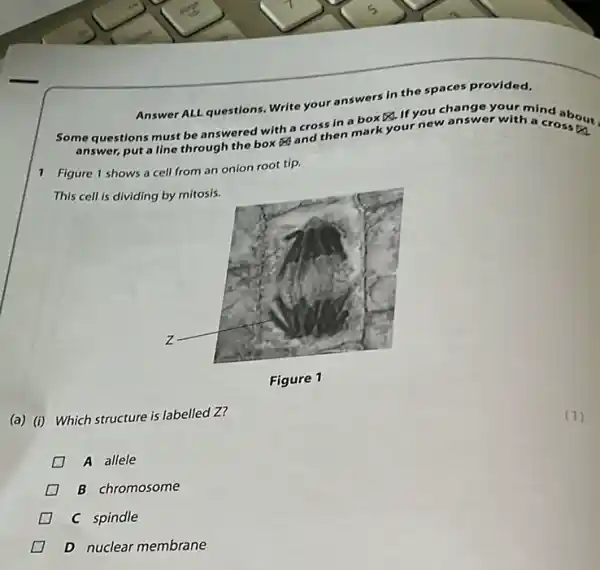 Answer ALL questions. Write your answers in the
spaces provided.
Some questions must be answered with a cross in a box if you change your mind
answer, put a line through the box of and then mark your new answer with a crossout
1 Figure 1 shows a cell from an onion root tip.
This cell is dividing by mitosis.
(a) (i) Which structure is labelled Z?
D A allele
B chromosome
D C spindle
D D nuclear membrane