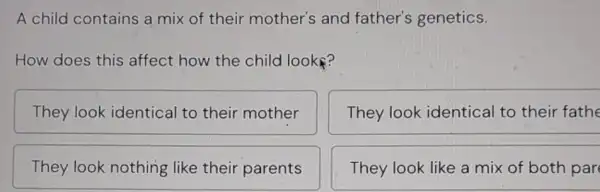 A child contains a mix of their mother's and father's genetics.
How does this affect how the child looks?
They look identical to their mother
They look identical to their fathe
They look nothing like their parents
They look like a mix of both par