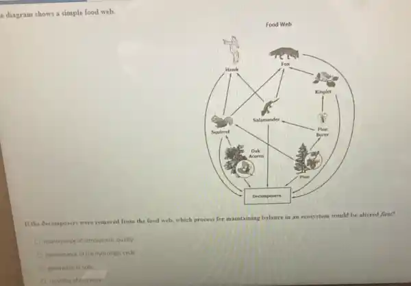 e diagram shows a simple food web.
__
If the decomposers were removed from the food web, which pr
process for
maintaining balance in an ecosystem would be altered first?
maintenance of atmospheric quality
maintenance of the hydrologic cycle
generation of solls
theycling of nutrients