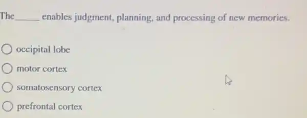 The __ enables judgment.planning,and processing of new memories:
occipital lobe
motor cortex
somatosensory cortex
prefrontal cortex