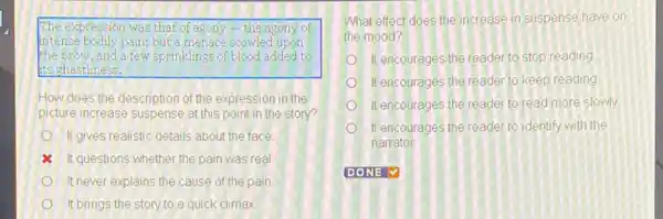 The expression was that of agony-the agony of
intense bodily pain; but a menace scowled upon
the brow, and a few sprinklings of blood added to
its ghastliness.
How does the description of the expression in the
picture increase suspense at this point in the story?
It gives realistic details about the face
It questions whether the pain was real
It never explains the cause of the pain
It brings the story to a quick climax
What effect does the increase in suspense have on
the mood?
It encourages the reader to stop reading
It encourages the reader to keep reading
It encourages the reader to read more slowly
It encourages the reader to identify with the
narrator